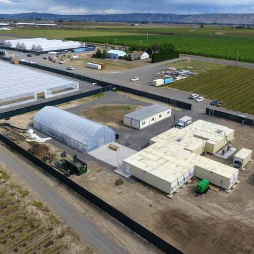 Cannabis Grow And Processing Facility, Washington