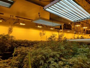 Cannabis Grow & Processing Facility, Arlington, WA