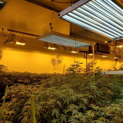 Cannabis Grow & Processing Facility, Arlington, WA